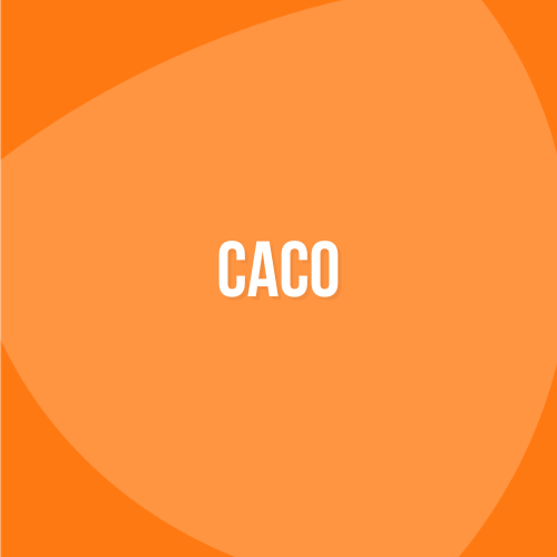 Calamiteitencoördinator (CaCo)